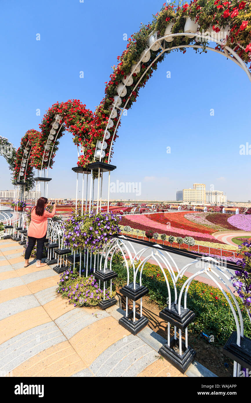 Dubai, VAE. Frau Besucher Fotos Tal in Blumen an Dubais Wunder Garten bedeckt, der größten natürlichen flower garden in der Welt. (Redaktionelle nur verwenden) Stockfoto