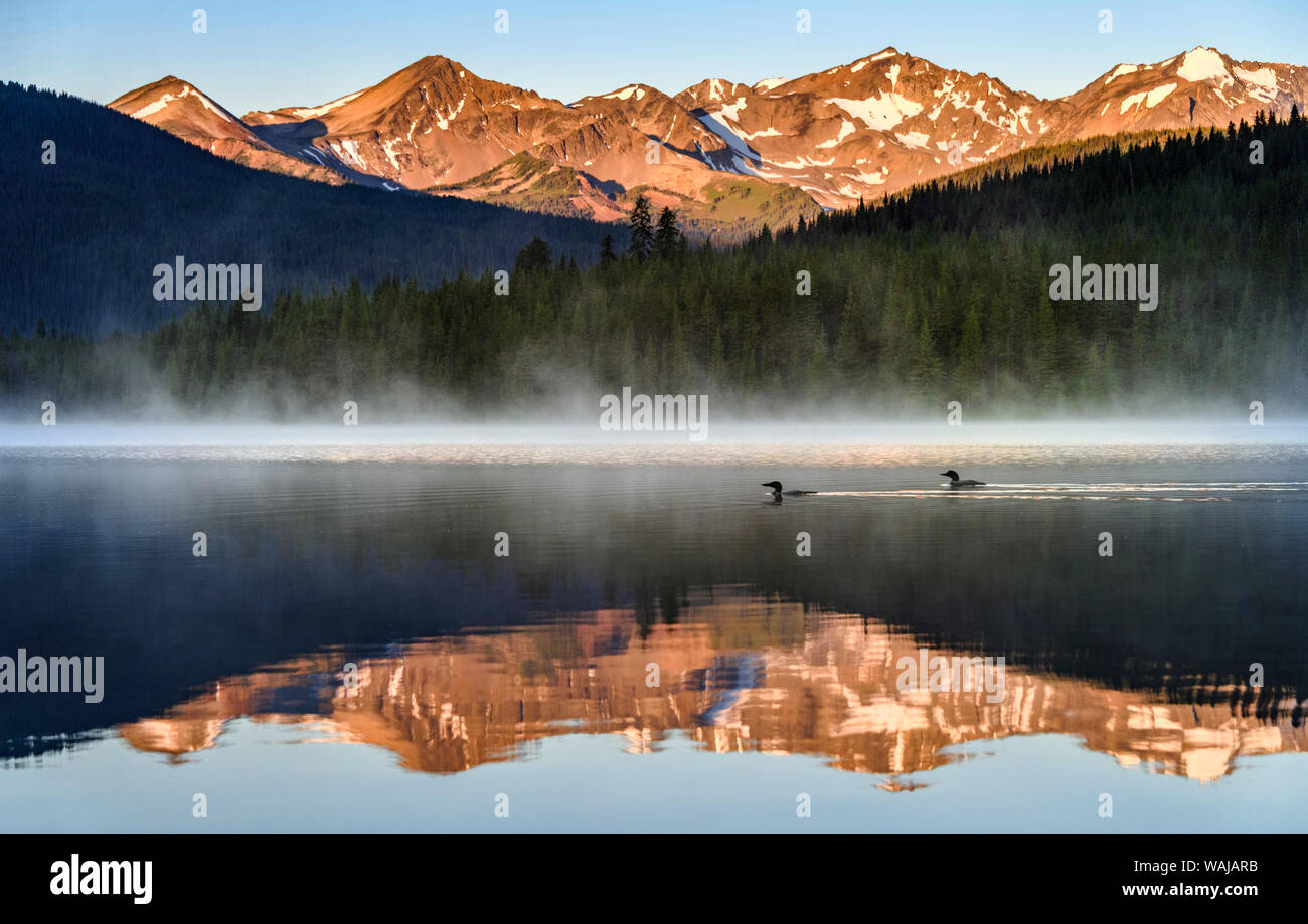 Kanada, British Columbia. South Chilcotin Mountains Provincial Park, Fichte See sonnenaufgang Reflexionen und gemeinsamen Seetaucher. Stockfoto