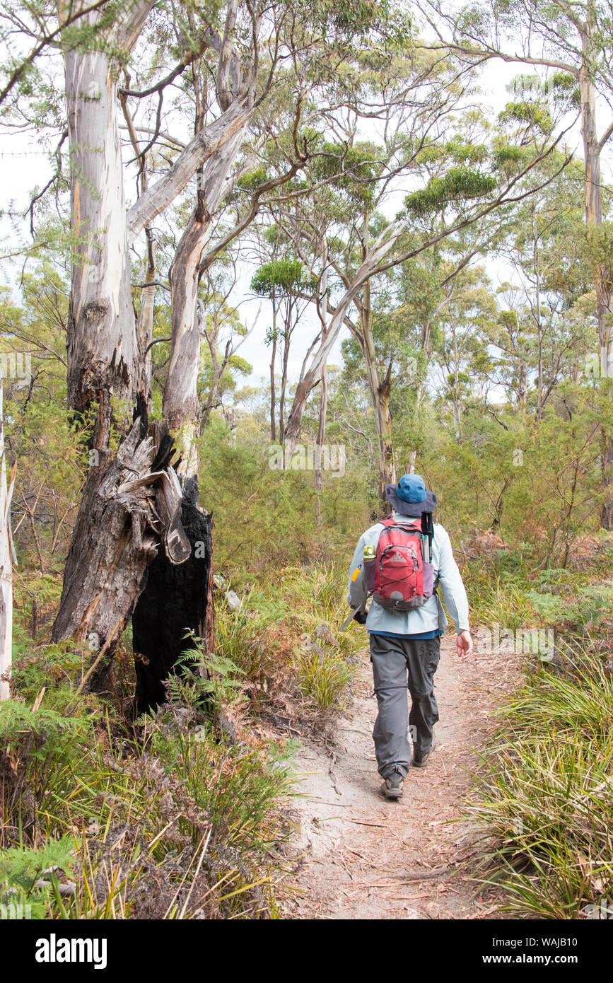 Australien, Tasmanien, Freycinet National Park. Wanderer am Isthmus zwischen Wineglass Bay Beach und Gefahren. (MR) Stockfoto