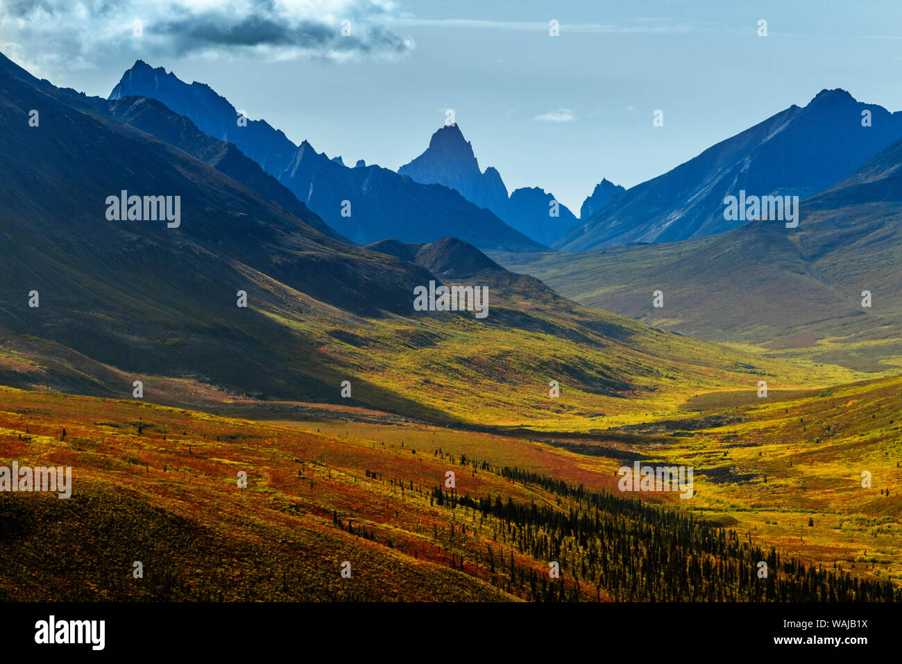 Kanada, Yukon, Tombstone Territorial Park, Herbst Farbe und Berg Blick ins Tal. Stockfoto