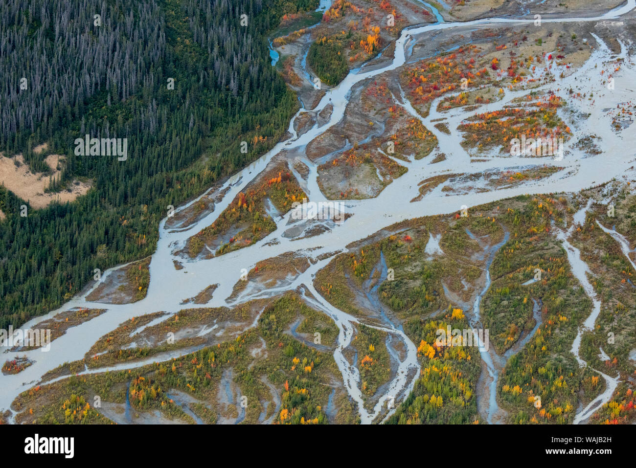 Kanada, Yukon, Kluane National Park, Antenne von geflochtenen Fluss und Herbst Farbe. Stockfoto