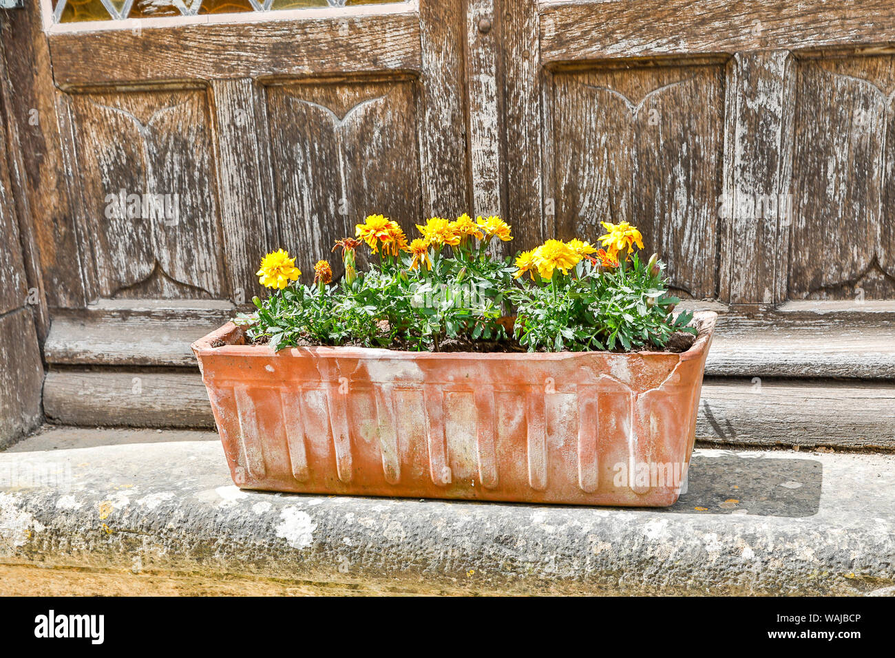 Frankreich, Saint-Cirq Lapopie. Blumenkasten auf einer Türschwelle Stockfoto
