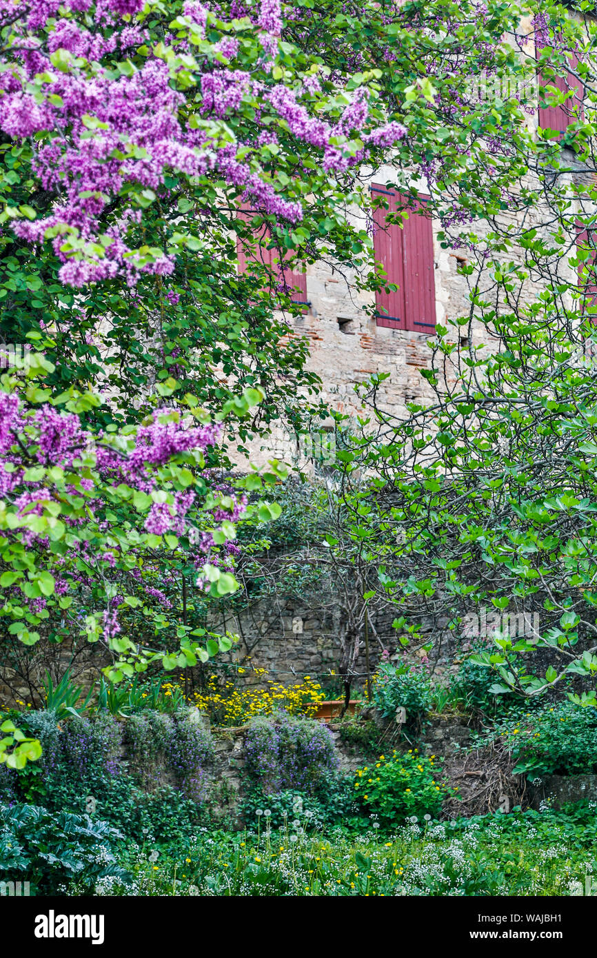 Frankreich, Cordes-sur-Ciel. Historische Wand mit Fensterläden und Garten Stockfoto