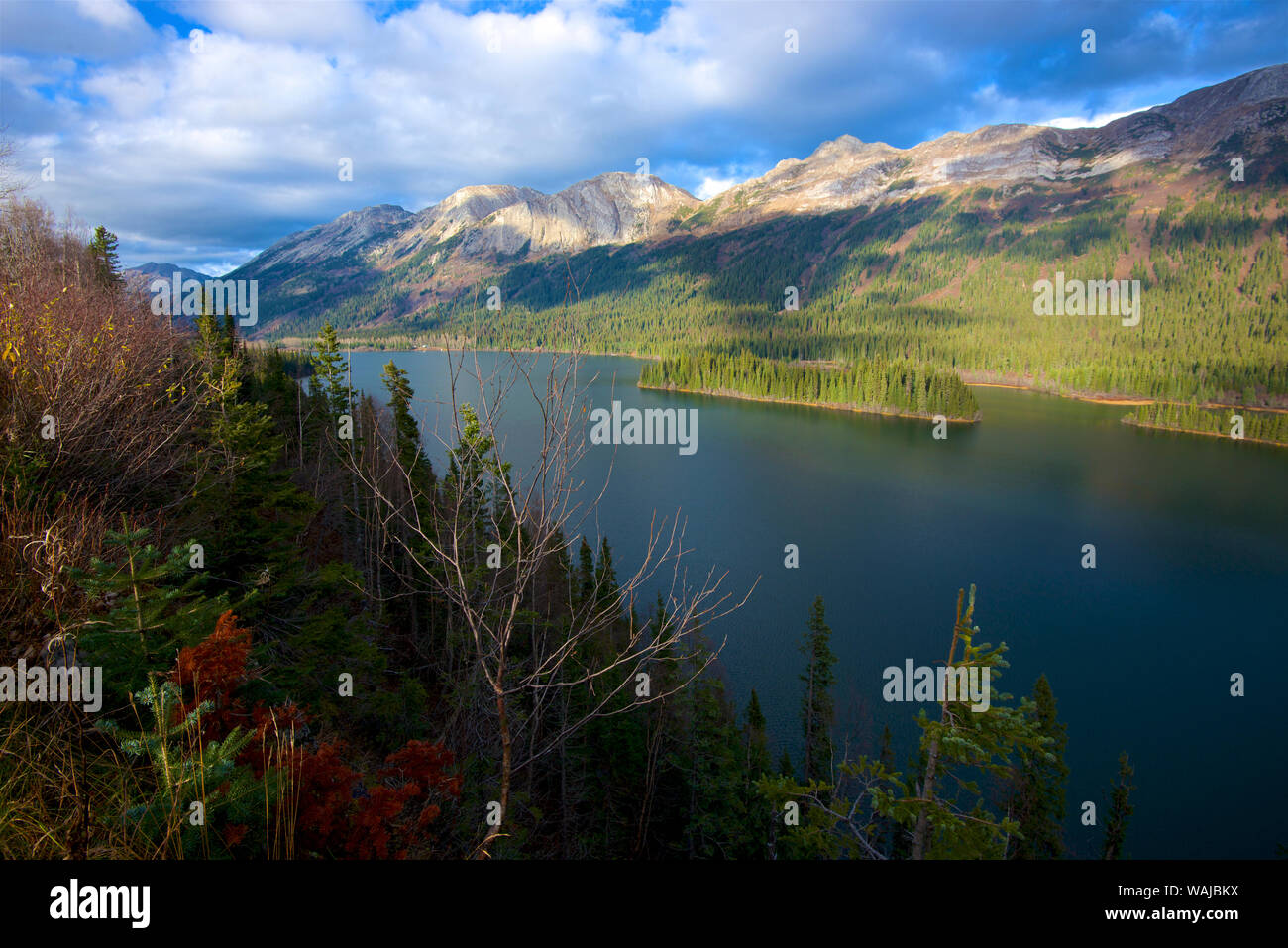 Azouzetta See und der Murray in Pine Pass auf dem Highway 97, der Hart-Highway im Norden von British Columbia. Stockfoto