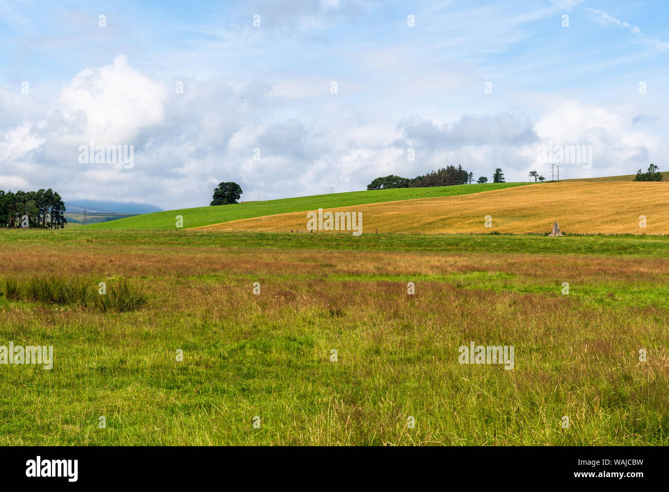 Ländliche Northumberland Sommerfarmszene. Ingram-Tal und Powburn-Gebiet Stockfoto