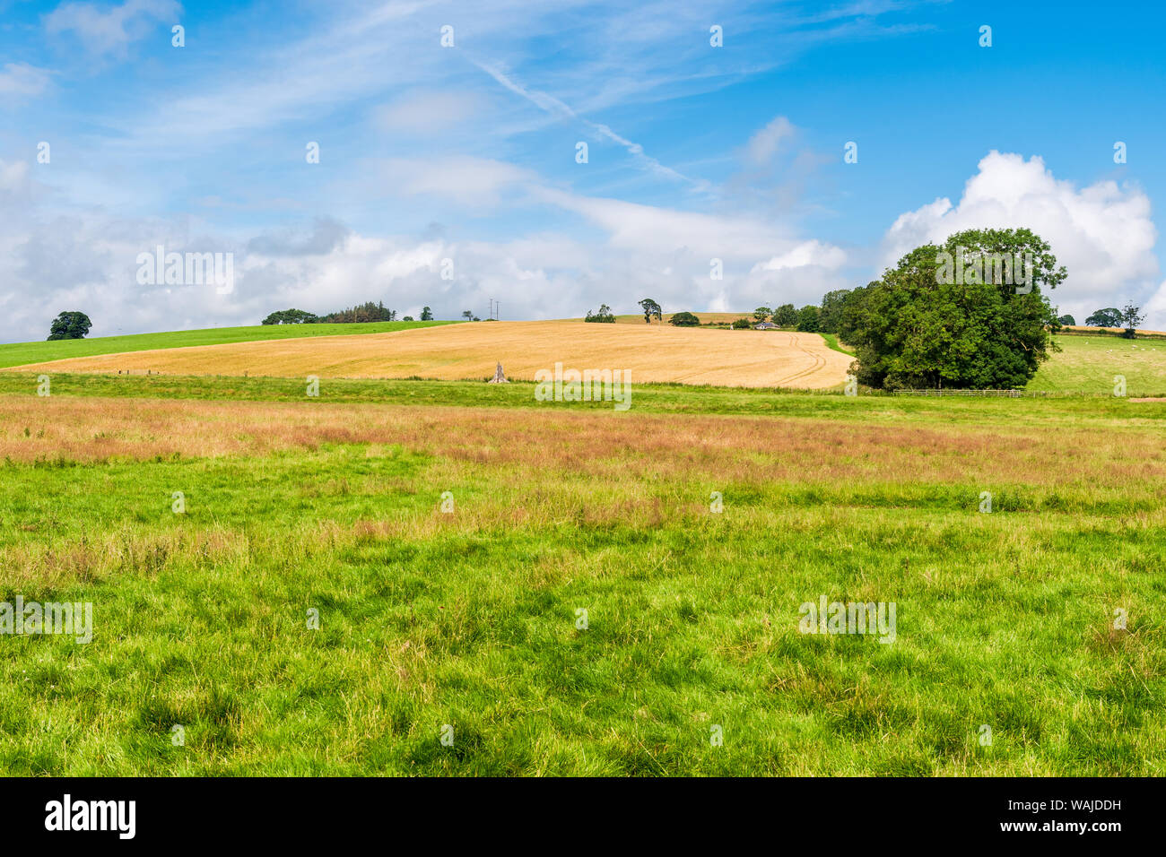 Ländliche Northumberland Sommerfarmszene. Ingram-Tal und Powburn-Gebiet Stockfoto
