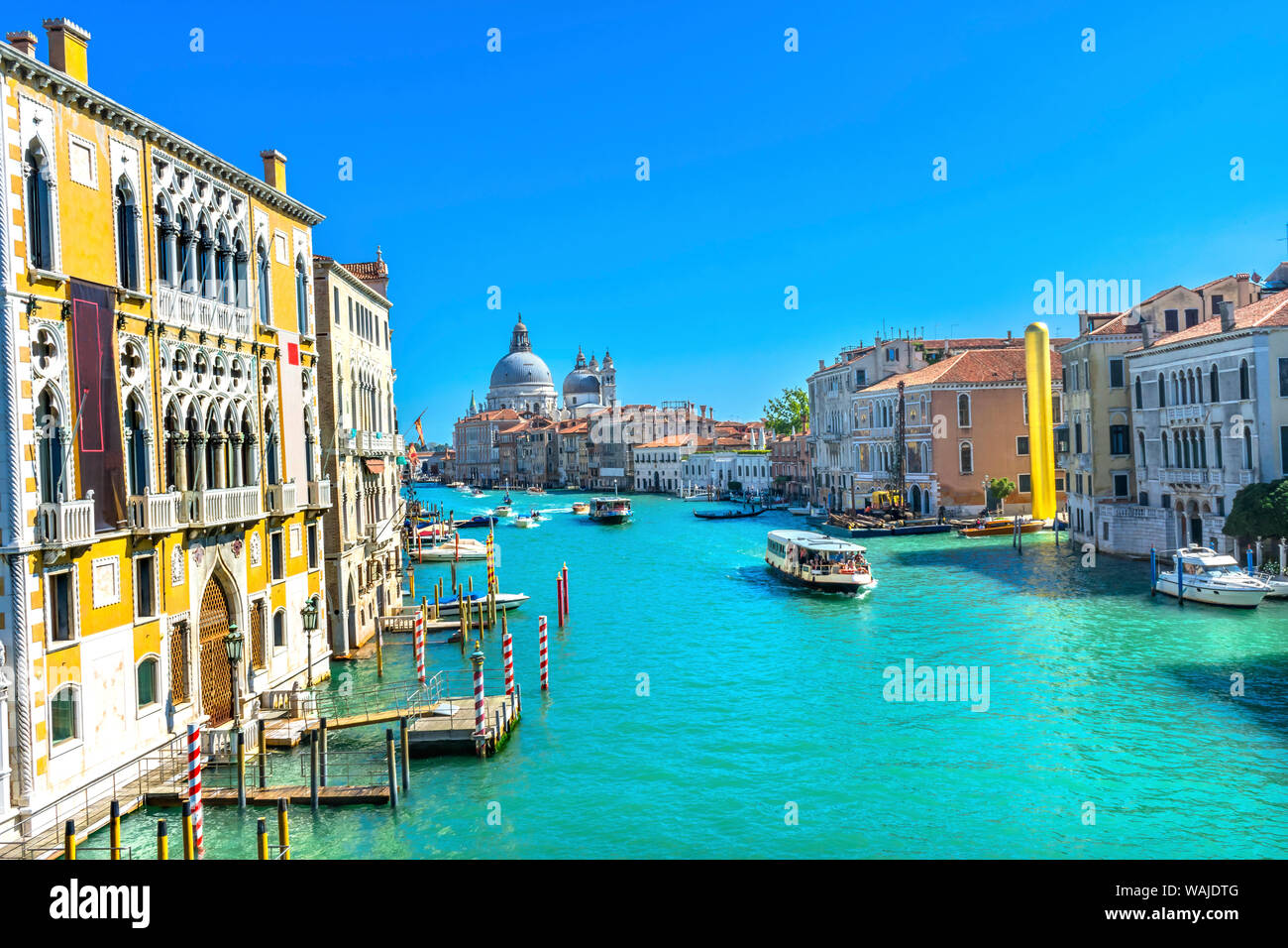 Grand Canal Santa Maria della Salute Kirche vom Ponte Academia Brücke, Venedig, Italien Stockfoto