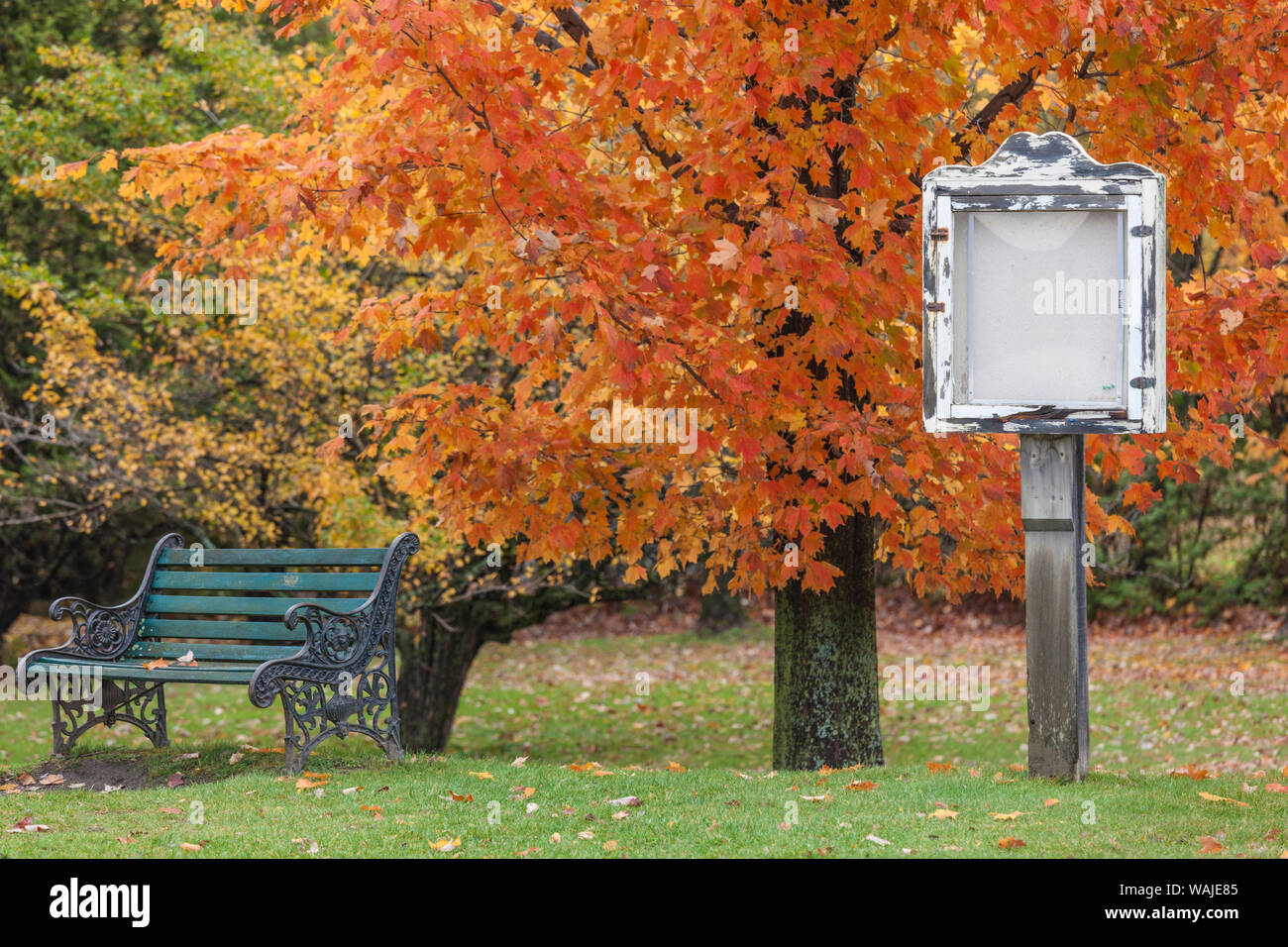 Kanada, Quebec, North Hatley. Leeres Namensschild Stockfoto