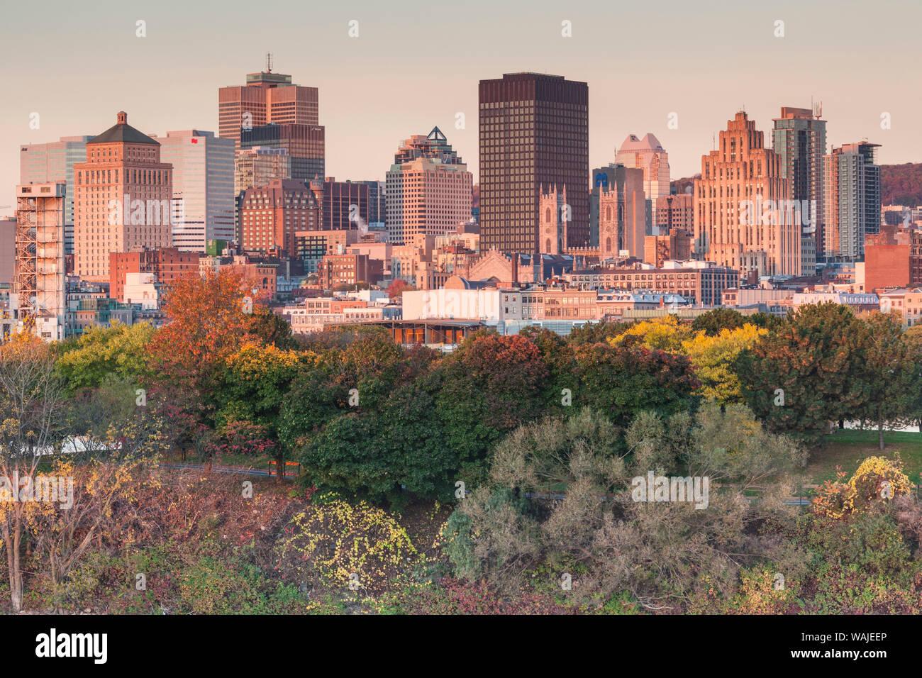 Kanada, Quebec, Montreal. Die Skyline der Stadt vom St. Lawrence River Stockfoto