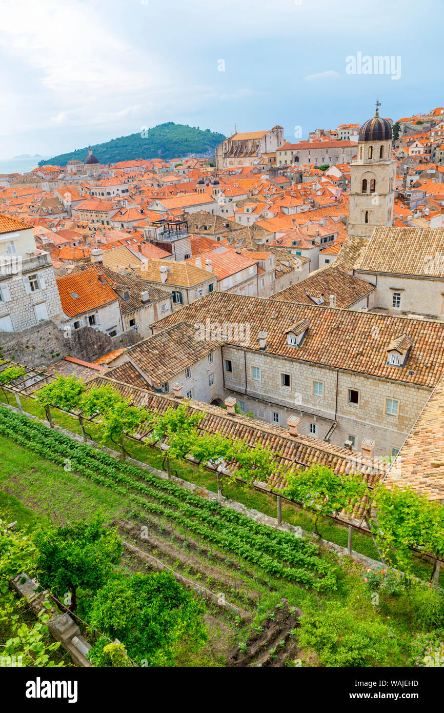 Kroatien, Dubrovnik. Übersicht der ummauerten Stadt und Garten. Credit: Fred Herr/Jaynes Galerie/DanitaDelimont.com Stockfoto