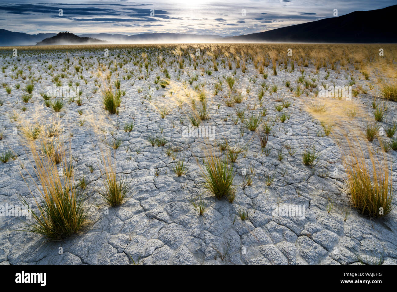 Kanada, Yukon, Kluane National Park. Slims River Delta. Stockfoto