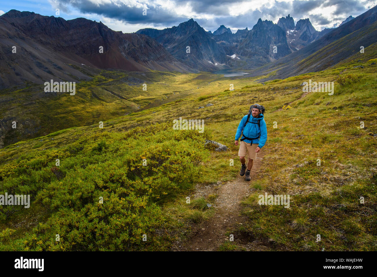 Kanada, Yukon, Tombstone Territorial Park. Grizzly Lake Trail, Wanderer im Freien genießen. (MR) Stockfoto