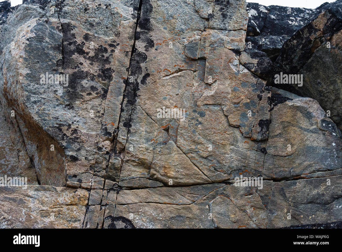 Grönland. Eqip Sermia. Felsen von Flechten bedeckt. Stockfoto