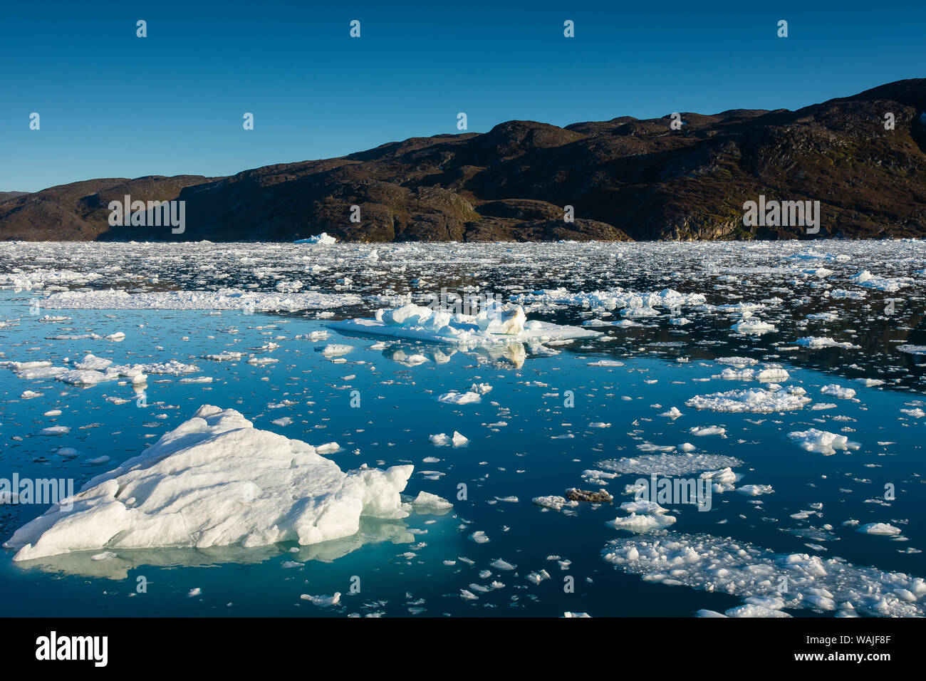 Grönland. Eqip Sermia. Eisberge und brash Eis. Stockfoto