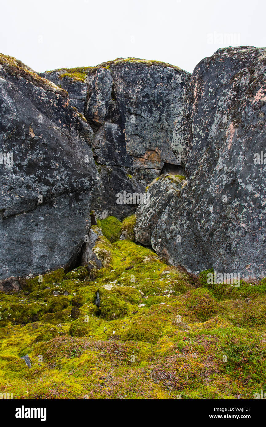 Grönland. Qeqertaq. Felsen und Tundra. Stockfoto