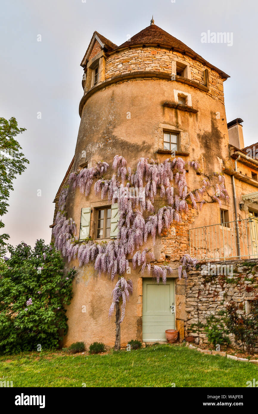 Frankreich, La Garrigue. Mas de Garrigue, glyzinie auf einem Turm des Hauses wachsen. (PR) Stockfoto