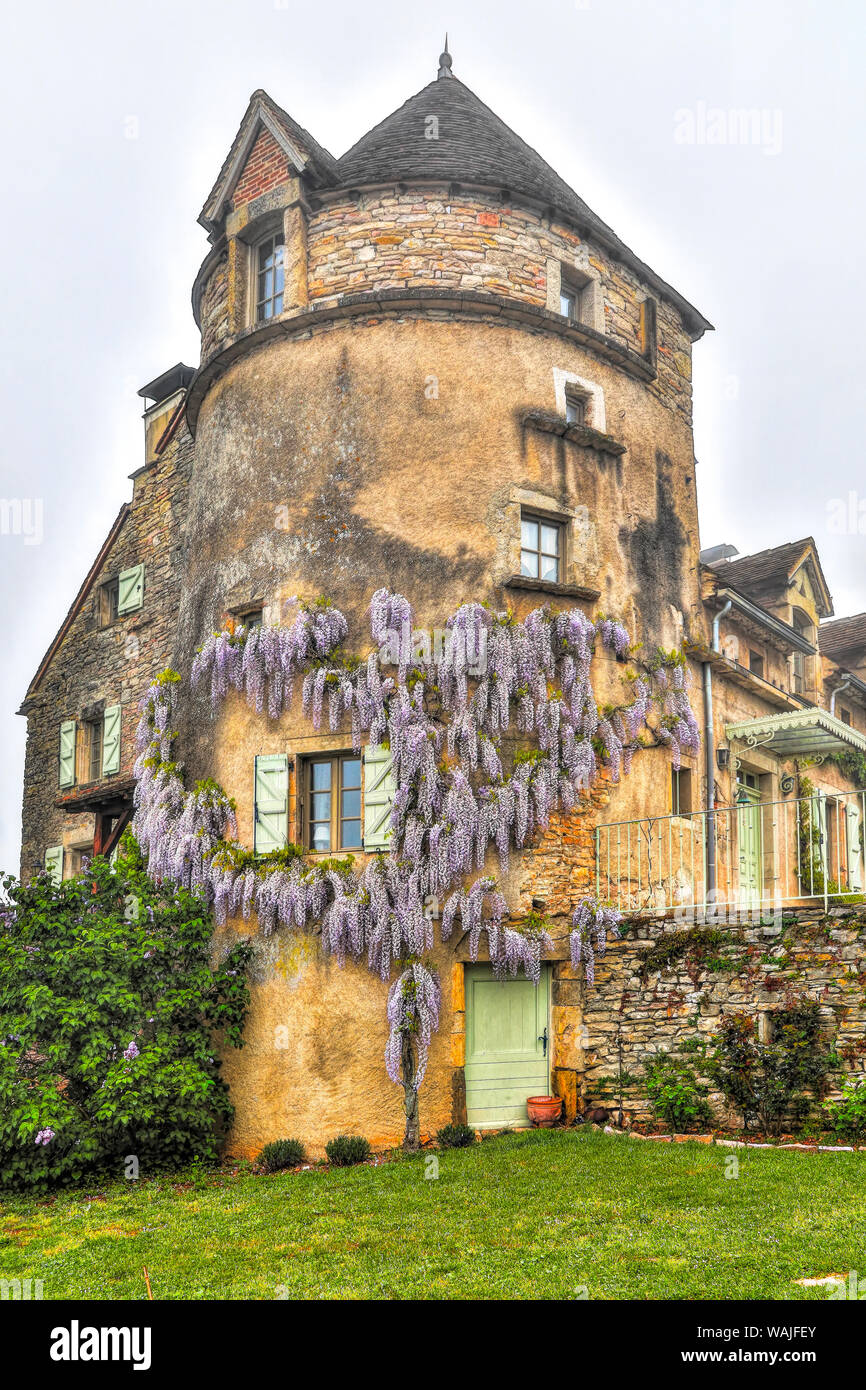 Frankreich, La Garrigue. Mas de Garrigue, glyzinie auf einem Turm des Hauses wachsen. (PR) Stockfoto