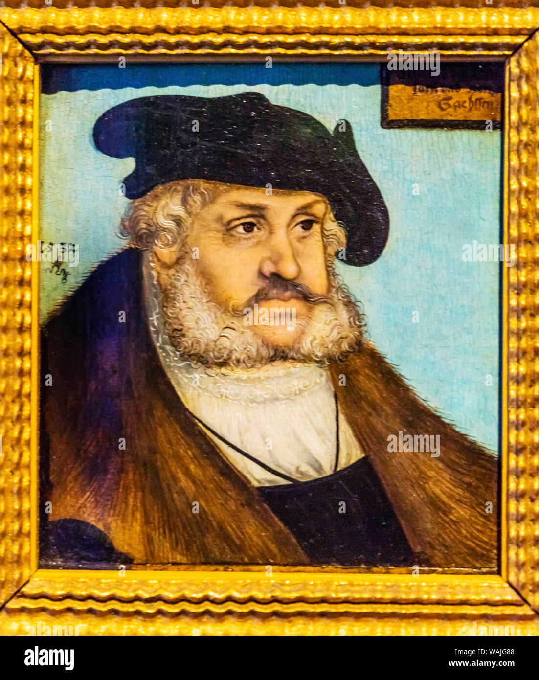 Portrait von friedrich iii oder friedrich der weise Fotos und