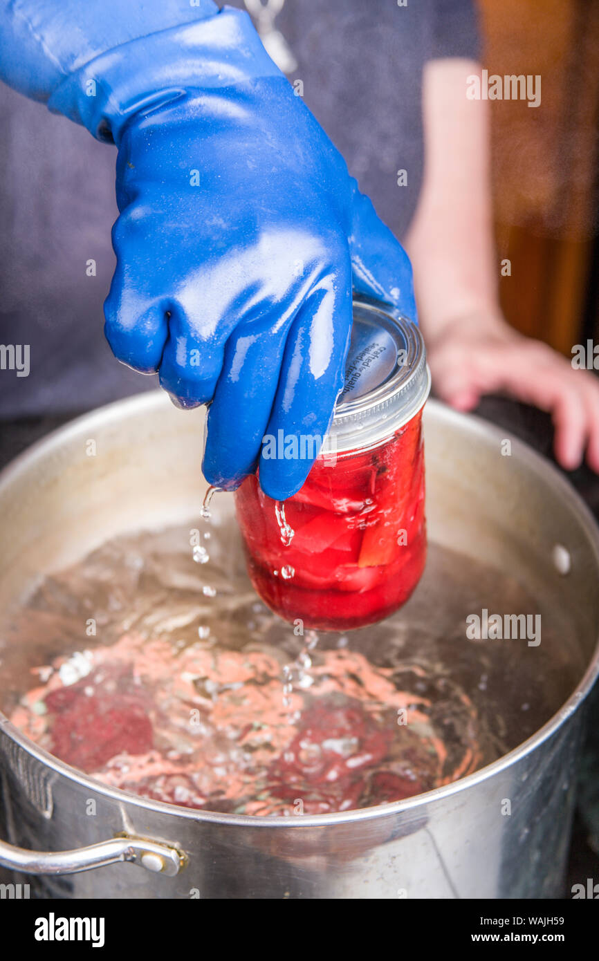 Frau Gummihandschuhe zu tragen Entfernen canning-Gläser Eingelegte Rüben aus einem kochenden Wasserbad. (MR) Stockfoto