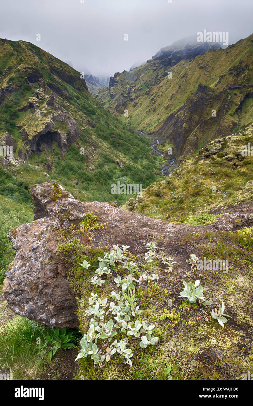 Island, Fjallabak Nature Reserve, der Porsmork Trail bietet einzigartige Gletscher, geschnitzte vistas. Stockfoto