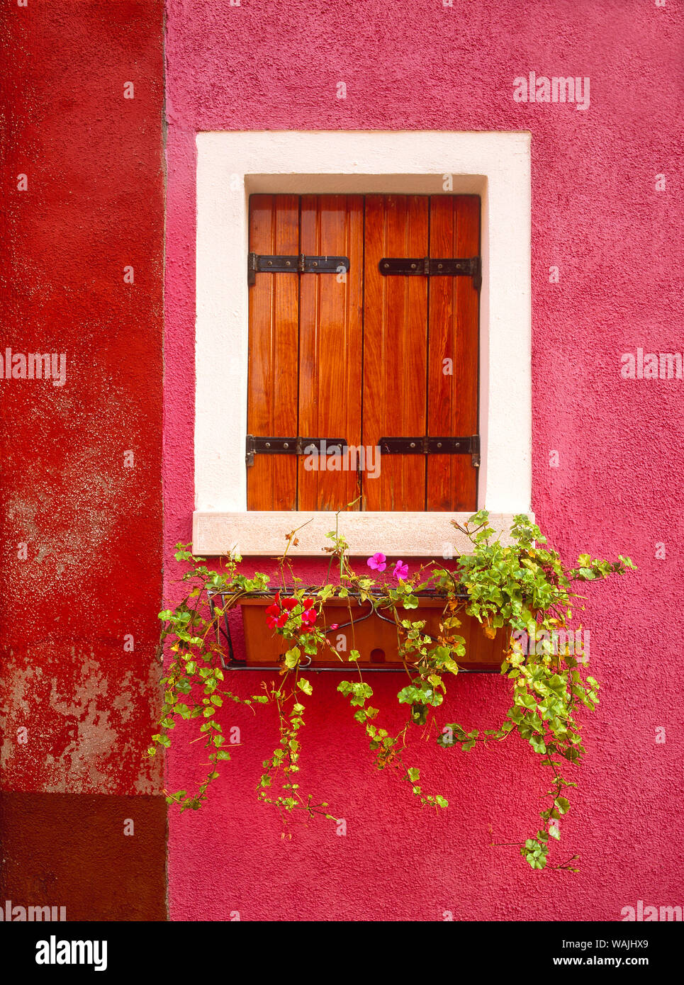 Italien, Burano. Bunte Fenster und Wände. Kredit als: Jim Nilsen/Jaynes Galerie/DanitaDelimont.com Stockfoto