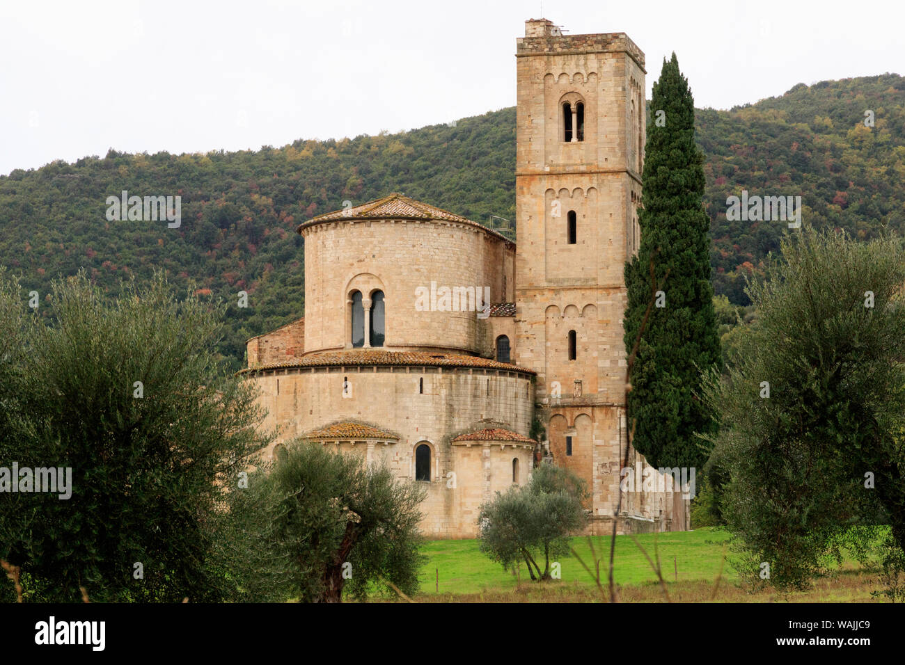 Italien, Toskana. Montalcino. Abtei von Sant'Antimo, Abbazia di Sant'Antimo, Benediktinerkloster. Der Pilgerweg nach Rom. Aufenthalt von Mönchen der Olivetaner Benediktinerorden. Stockfoto