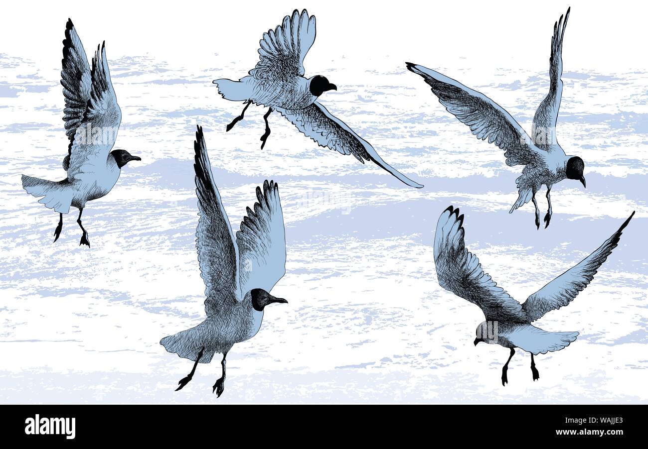 Vögel fliegen. Abbildung gezeichnet Stock Vektor