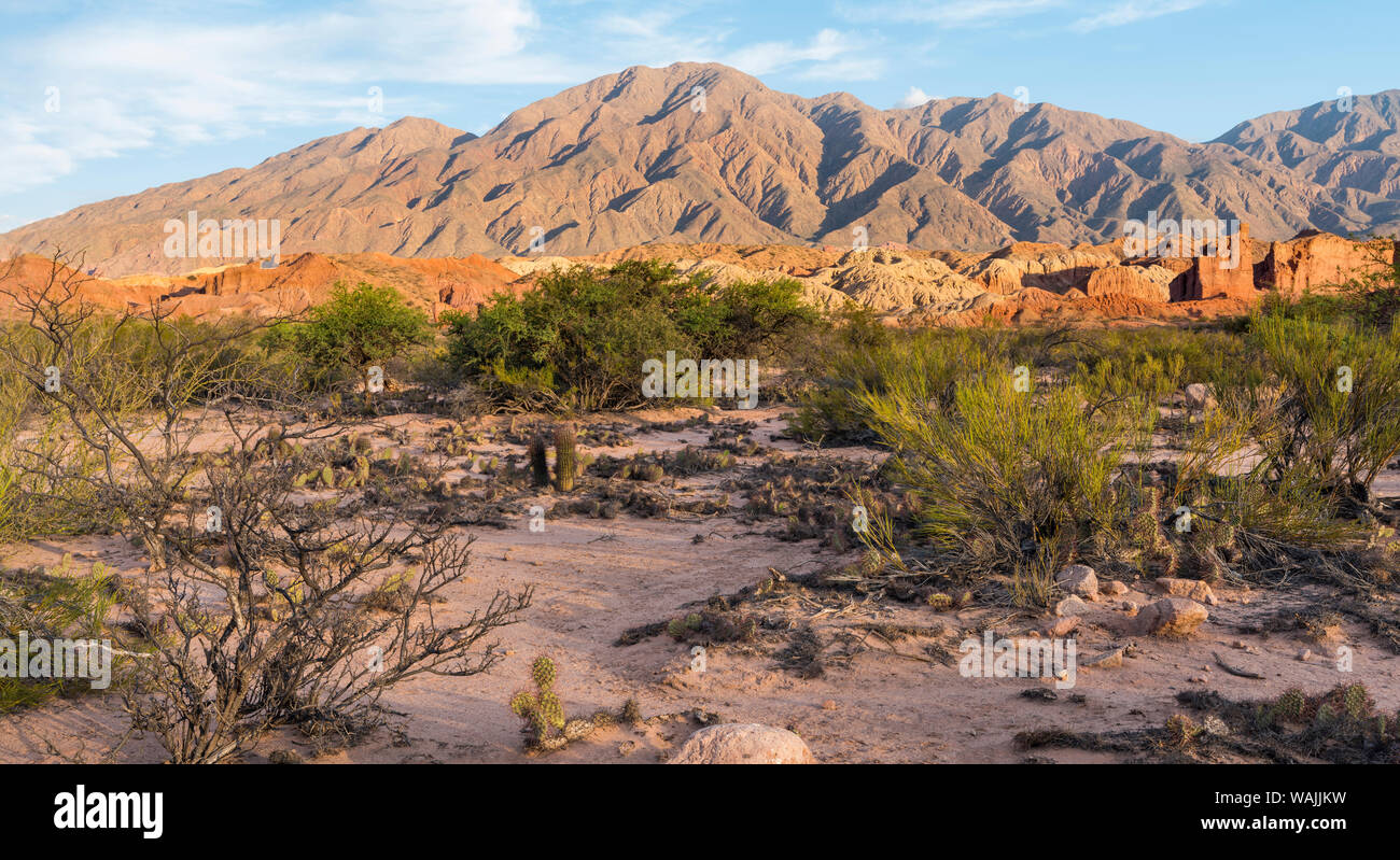 Die Quebrada de las Conchas forderte auch die Quebrada de Cafayate. Canyon mit bunten Felsformationen erstellt von Rio de las Conchas, Argentinien. Stockfoto