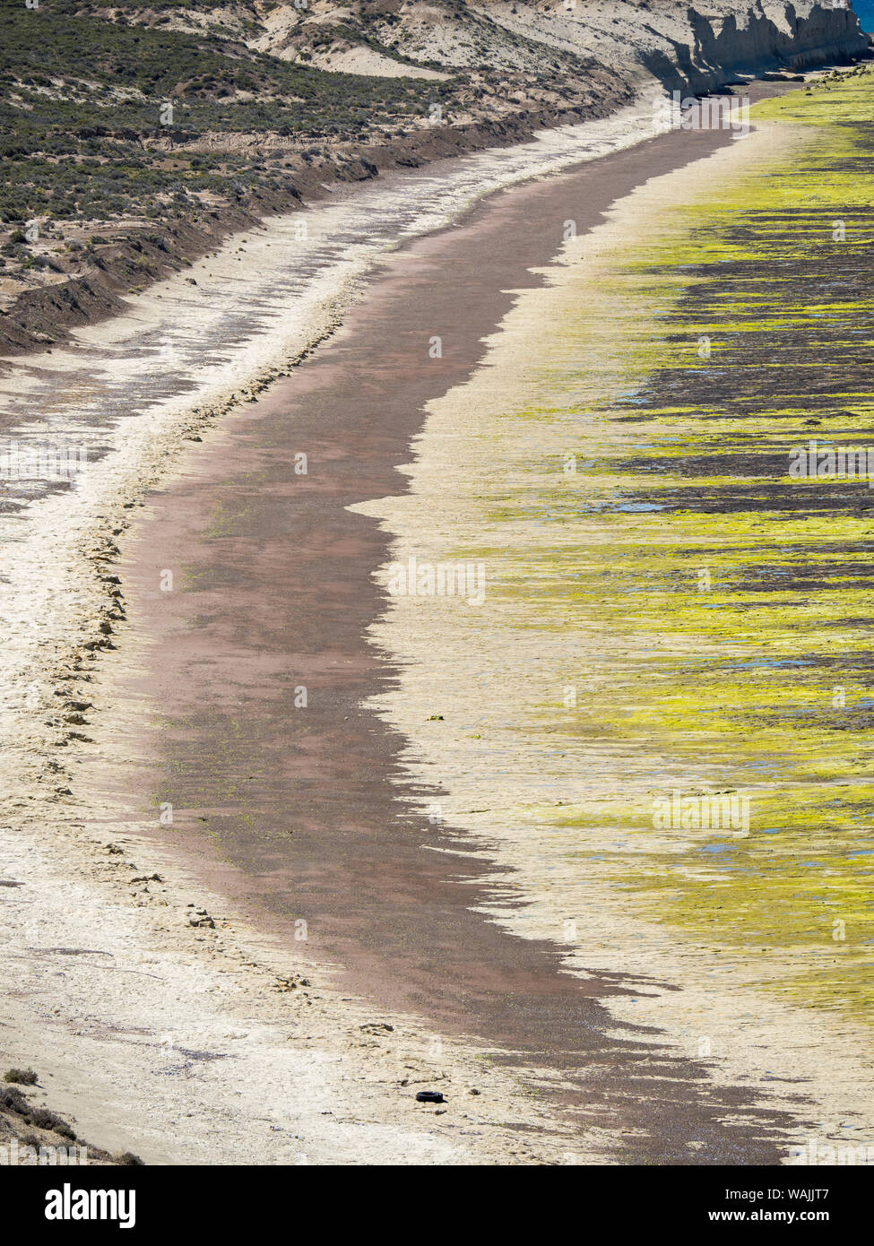 Strand bei Ebbe auf der Halbinsel Valdes in Patagonien. Die Halbinsel ist Teil des UNESCO-Weltkulturerbe. Südamerika, Argentinien, Patagonien. Stockfoto