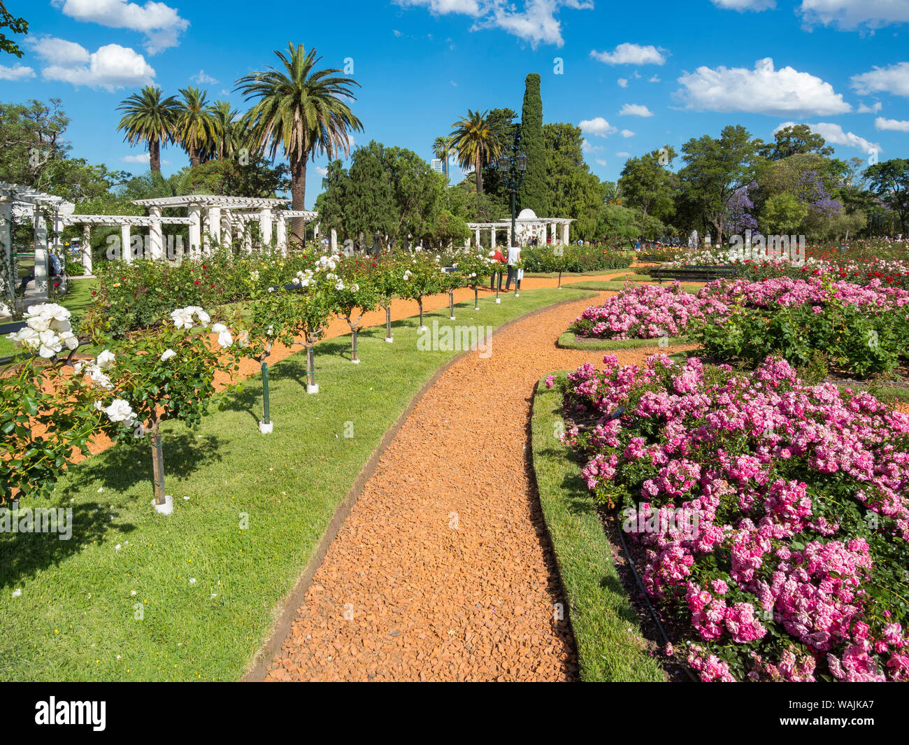 Bosques de Palermo Park im Viertel Palermo, der Rosengarten (El Rosedal de Palermo). Buenos Aires, der Hauptstadt von Argentinien. Stockfoto