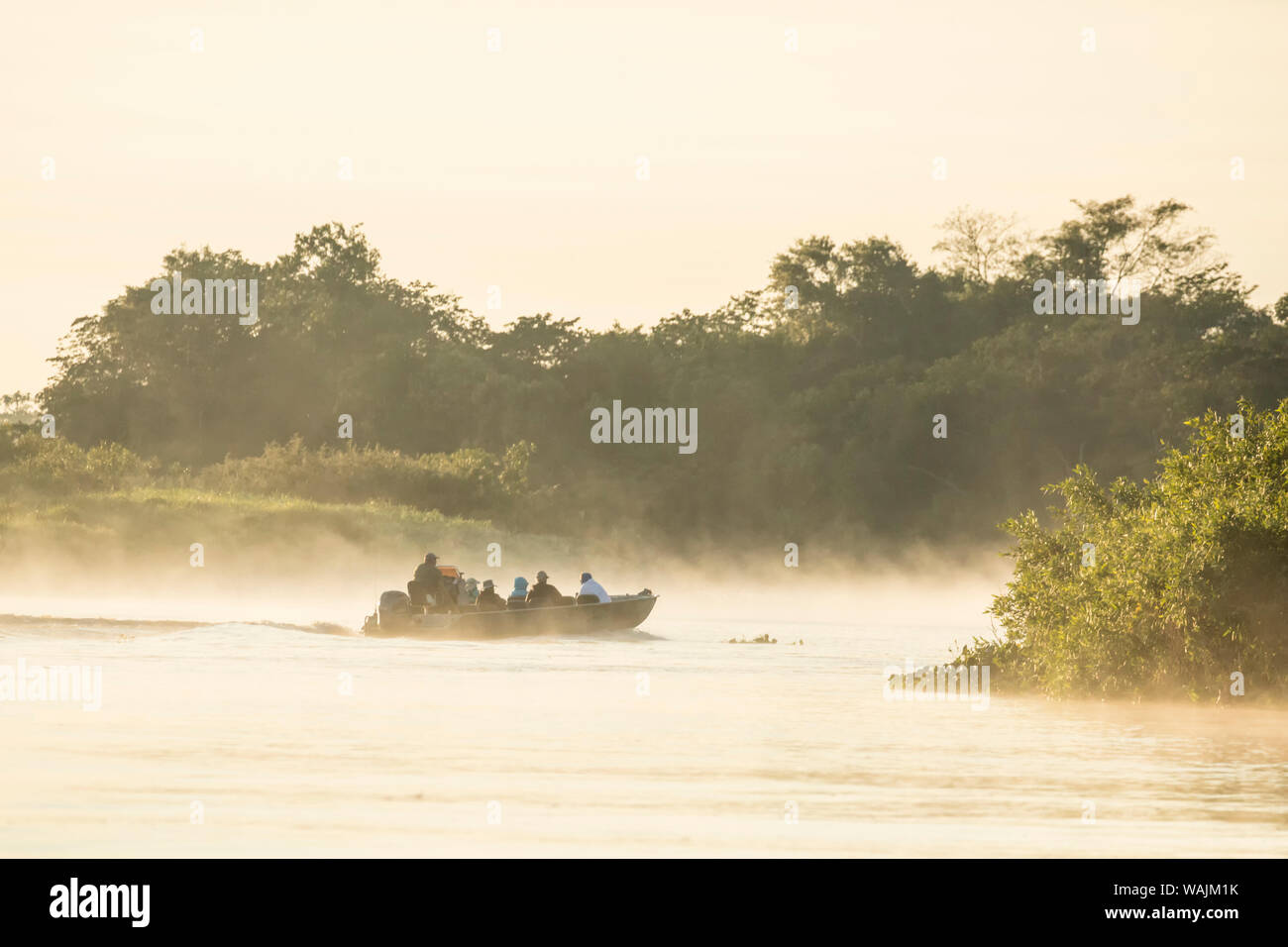 Pantanal, Mato Grosso, Brasilien. Tour Boot in den frühen Morgen Nebel auf der Suche nach Jaguar entlang der Cuiaba River. Stockfoto