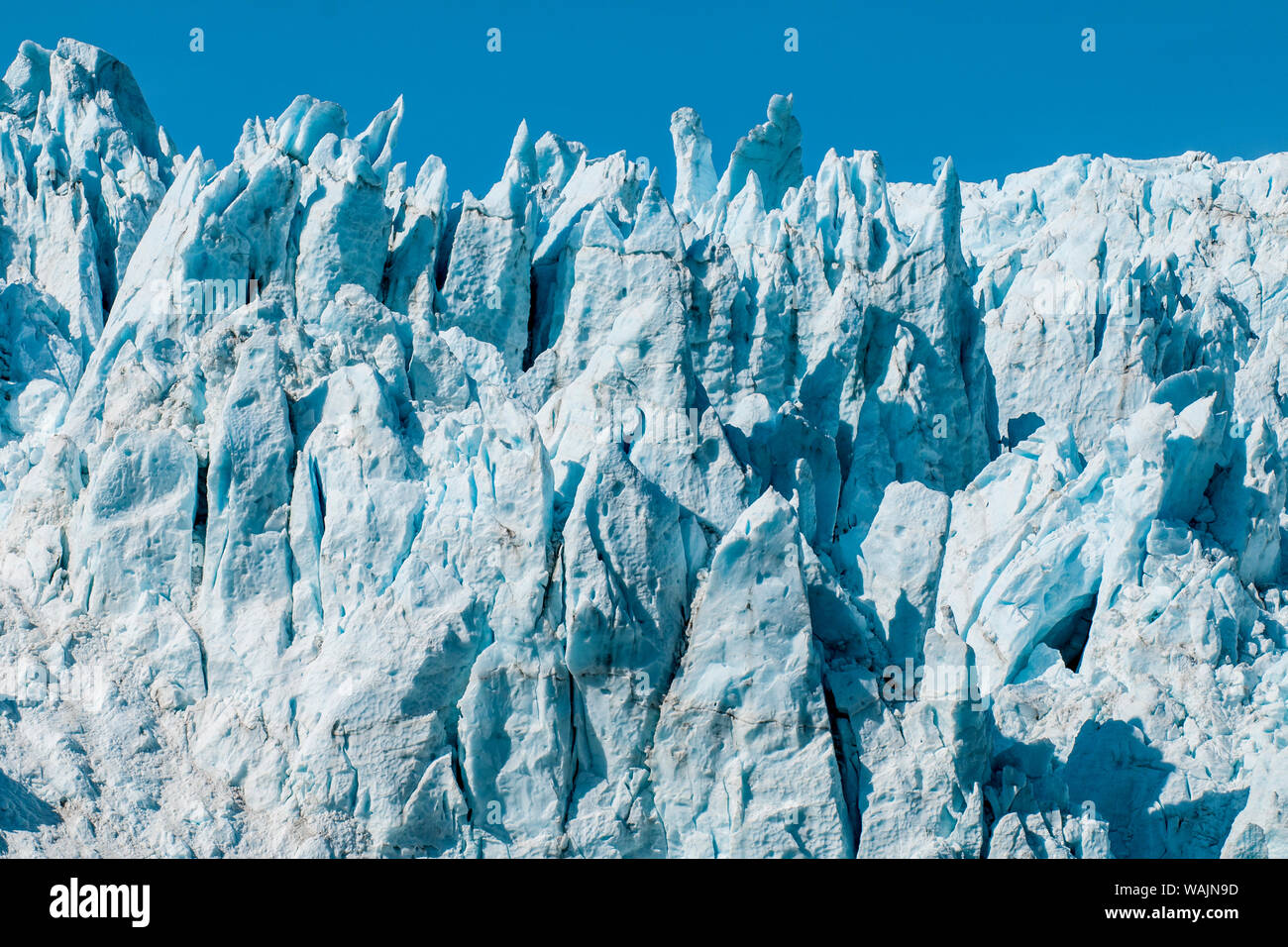 Holgate Gletschers, Harding Icefield, Kenai Fjords National Park, Alaska, USA. Stockfoto