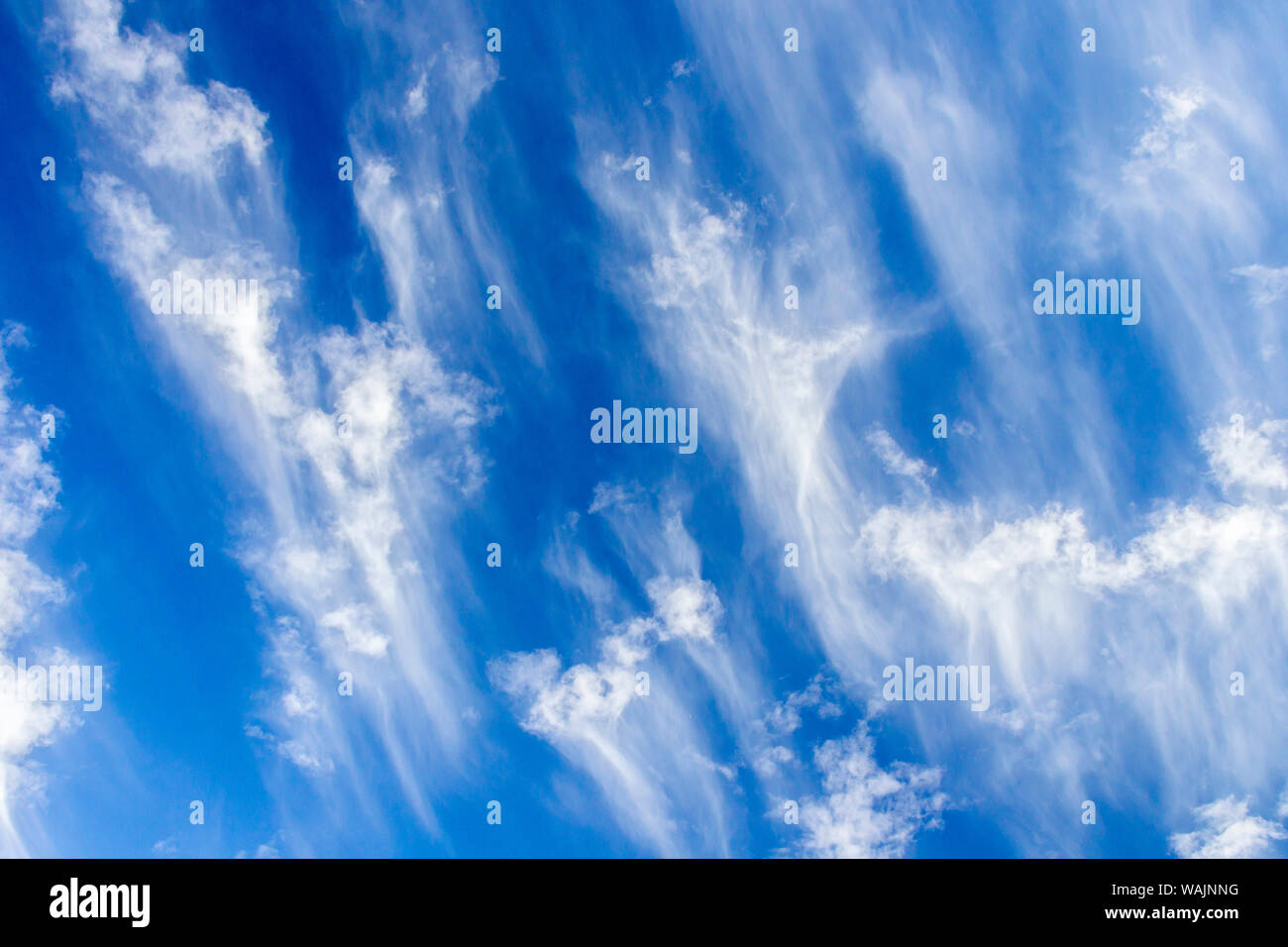 USA, Arizona, Sonoran Wüste. Morgen Wolkenformationen. Credit: Cathy und Gordon Illg/Jaynes Galerie/DanitaDelimont.com Stockfoto