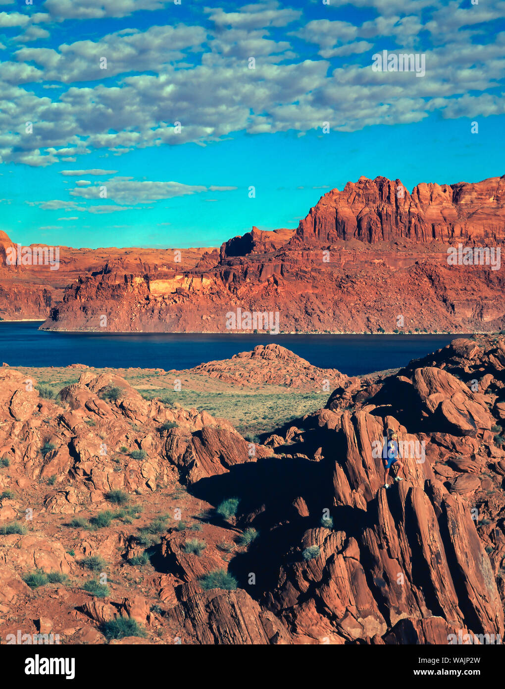 Lake Powell, Arizona National Recreation Area. Stockfoto