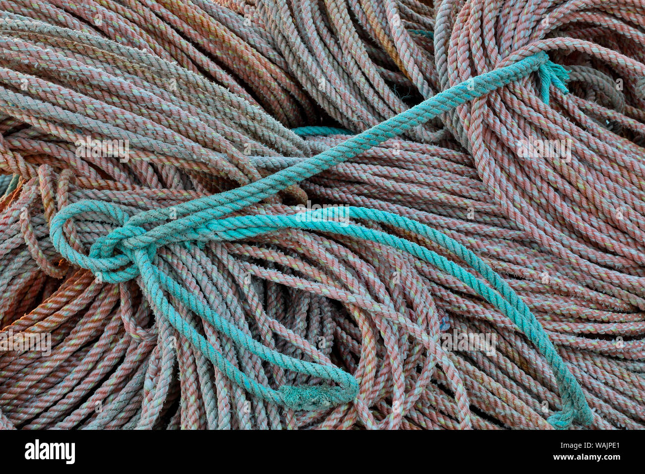 Seil in Crescent City Marina, Nordkalifornien Stockfoto