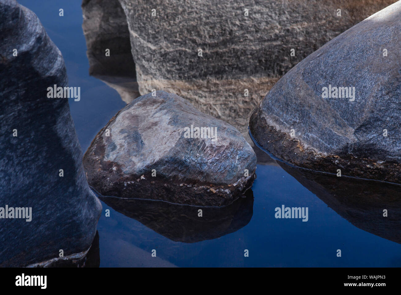 Indian Canyons, Colorado Wüste, Kalifornien Stockfoto