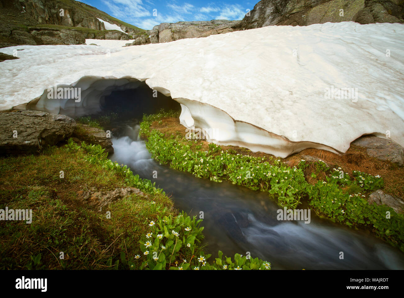 USA, Colorado, San Juan Berge. Stream hetzen unter Schnee Bank. Credit: Don Grall/Jaynes Galerie/DanitaDelimont.com Stockfoto