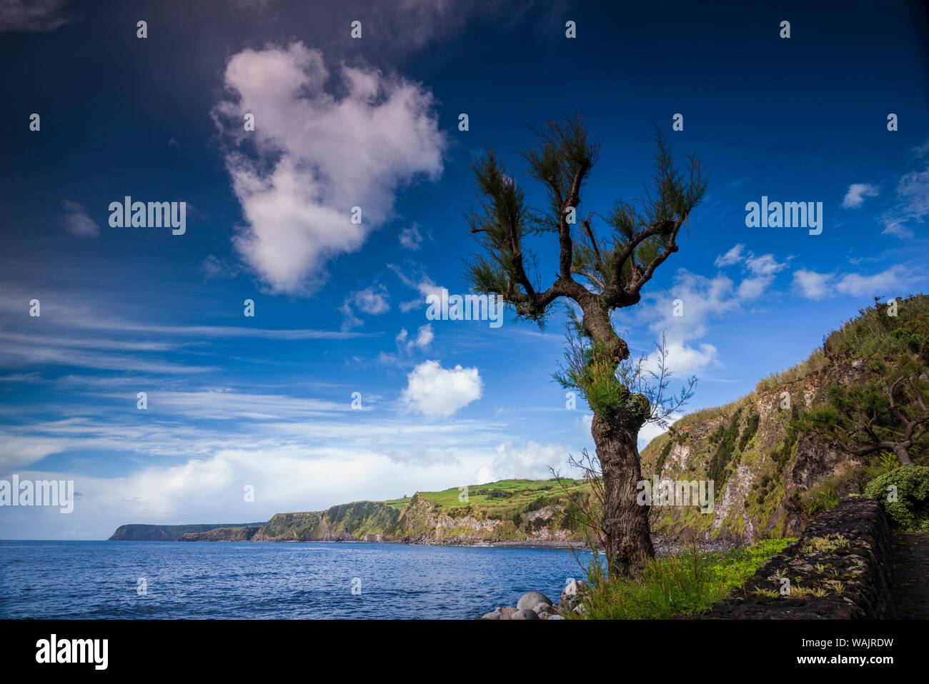 Portugal, Azoren, Faial Island, Riberinha. Porto da Boca Ribeira Strand Stockfoto
