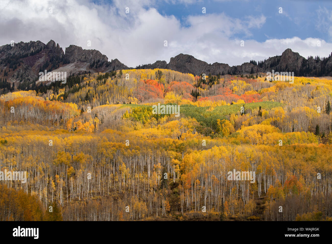 USA, Colorado Gunnison National Forest. Herbst Aspen, Wald und Berg. Credit: Don Grall/Jaynes Galerie/DanitaDelimont.com Stockfoto