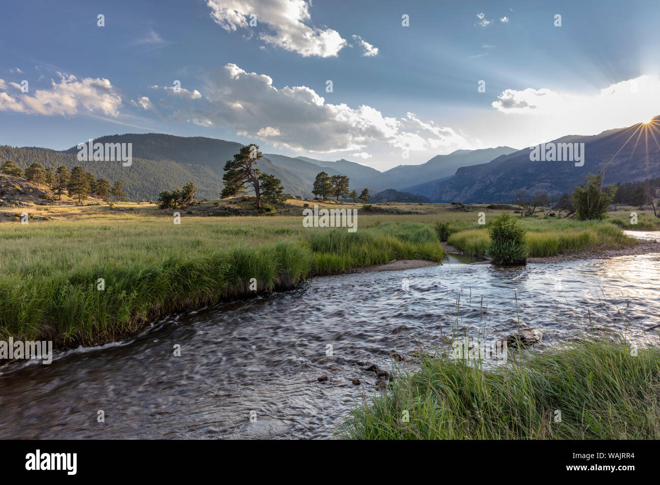 Big Thompson River in Moraine Park im Rocky Mountain National Park, Colorado, USA Stockfoto
