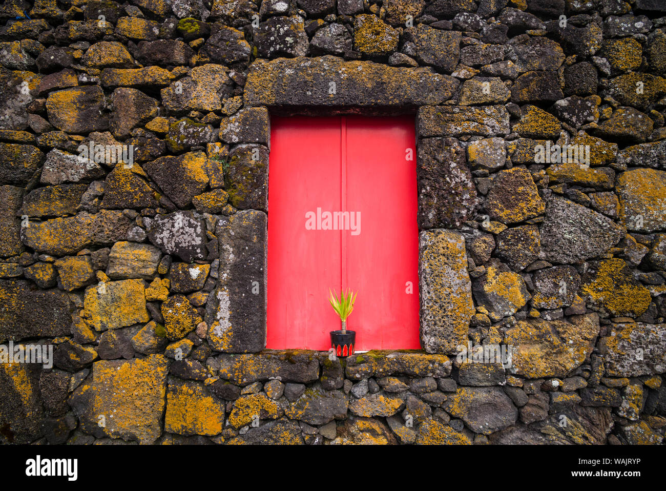 Portugal, Azoren, Insel Pico Madalena. Roten Türen auf Scheune Stockfoto
