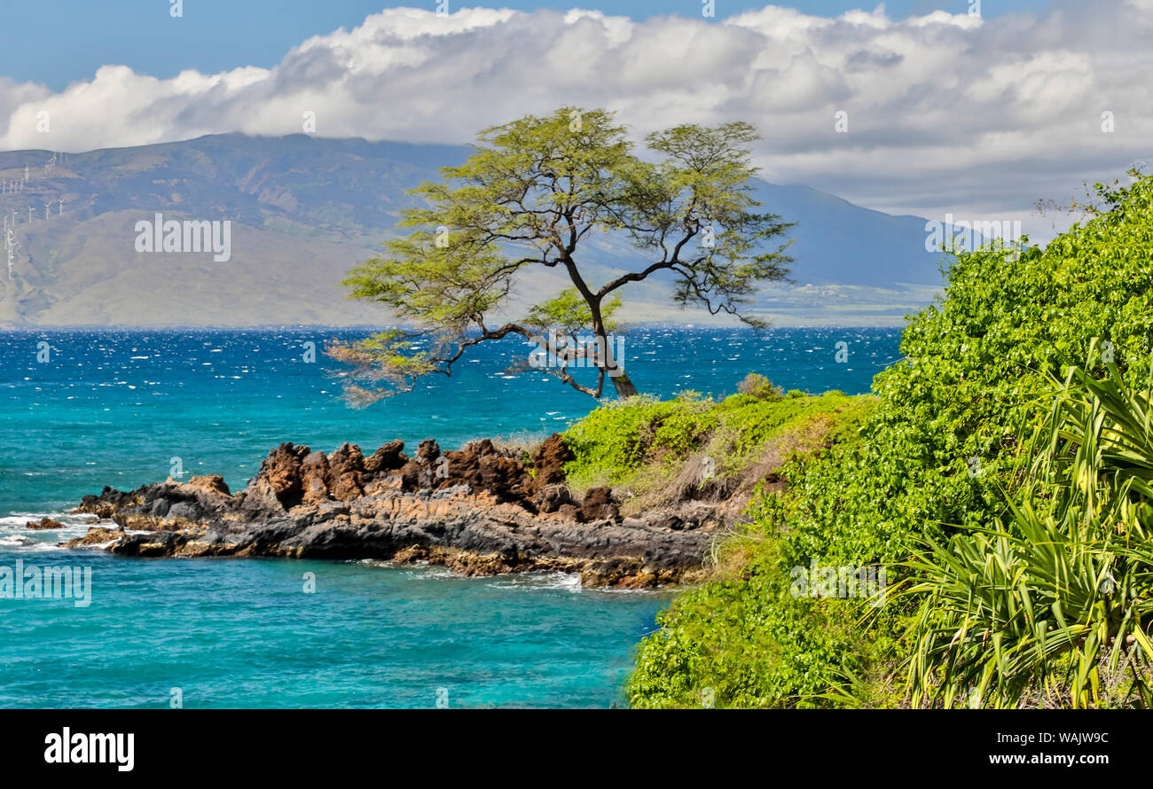 Küste entlang Wailea Beach Pfad in der Nähe von Polo Beach Park, Maui, Hawaii. Stockfoto