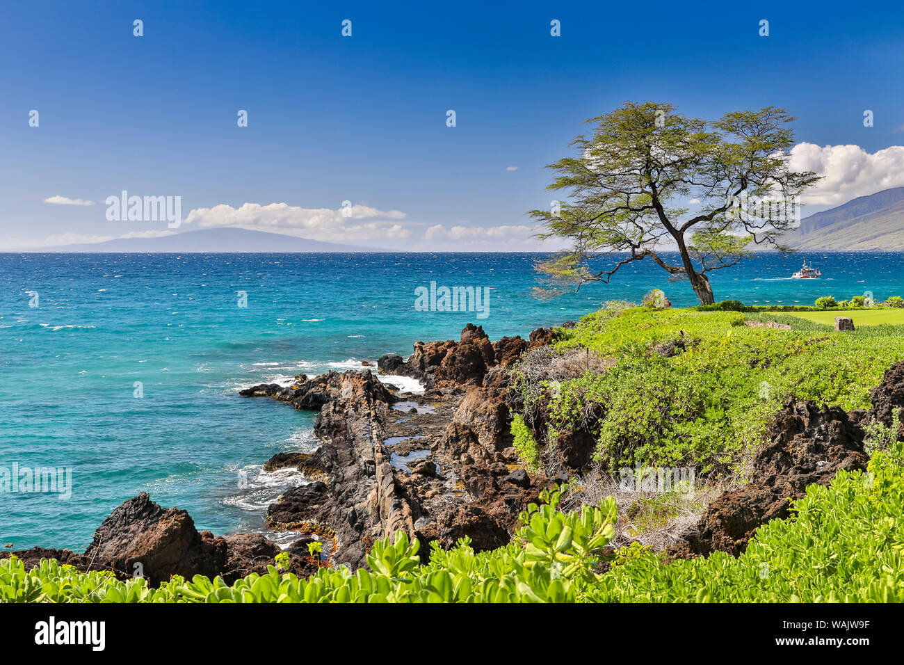 Küste entlang Wailea Beach Pfad in der Nähe von Polo Beach Park, Maui, Hawaii. Stockfoto