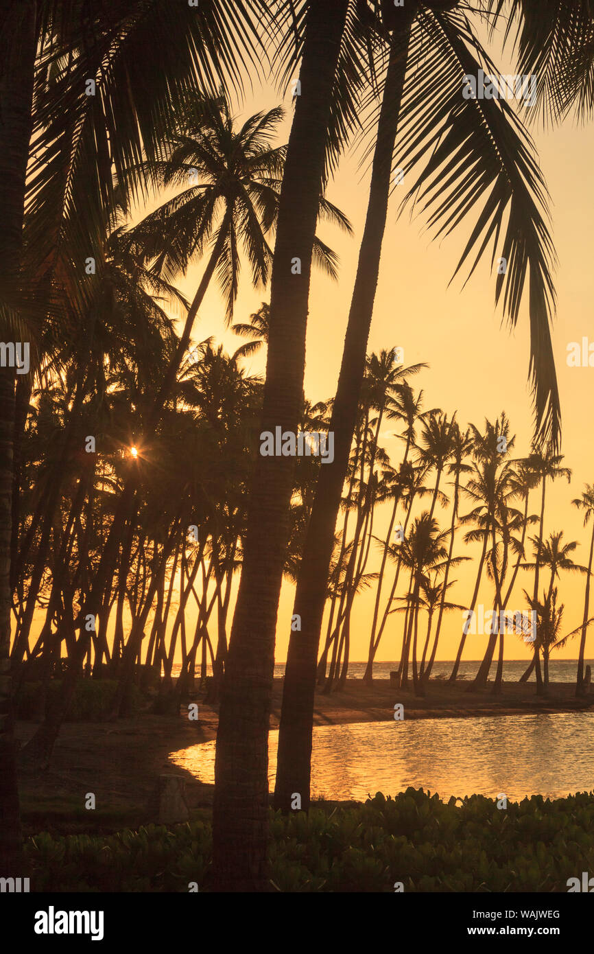 Anaeho'omalu Bay, Kohala Küste, Big Island, Hawaii, USA Stockfoto