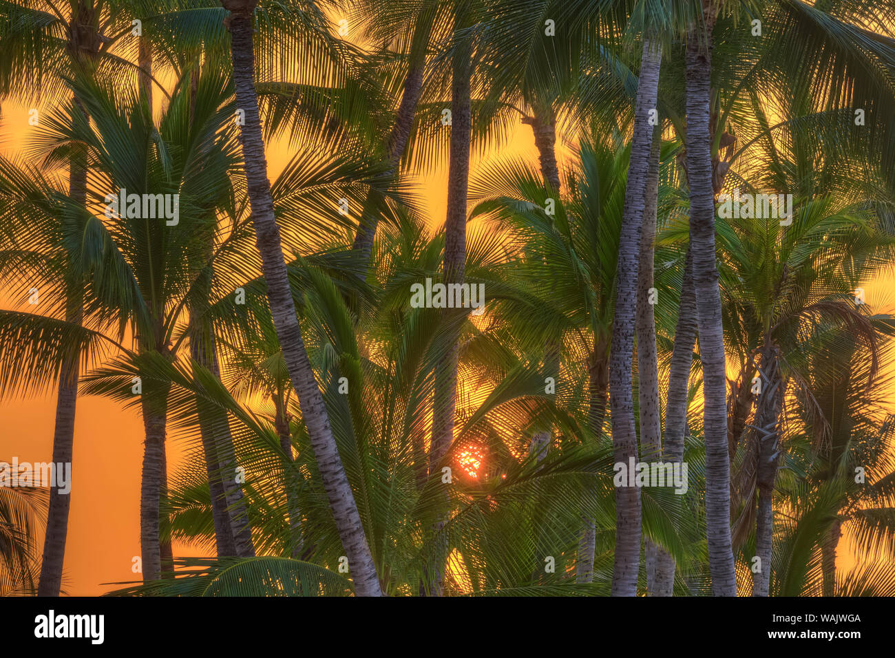 Anaeho'omalu Bay, Kohala Küste, Big Island, Hawaii, USA Stockfoto