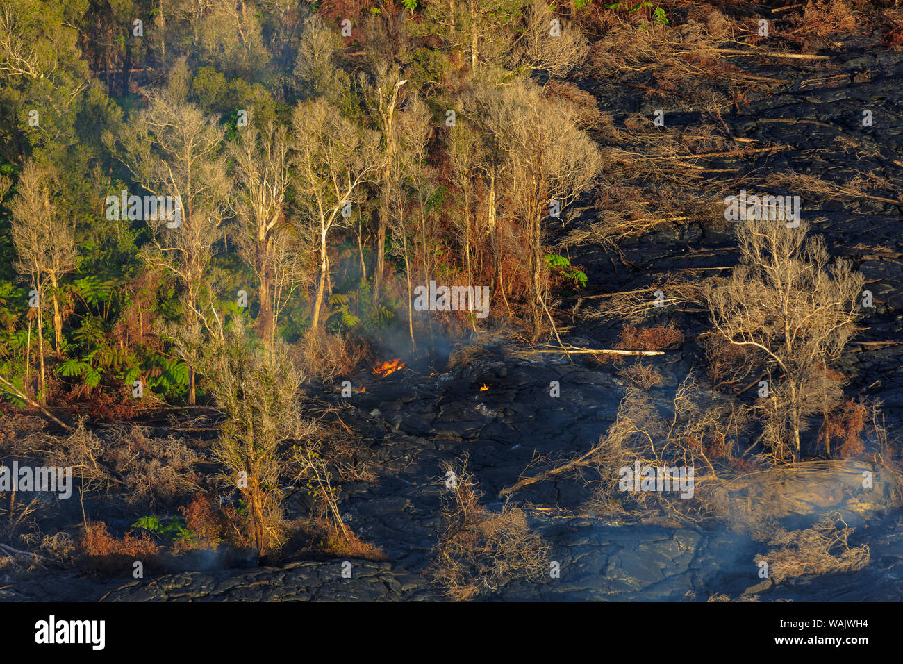 Hubschrauber Tour von Hilo auf Pu'u O'o Vent und Krater, Big Island, Hawaii, USA Stockfoto