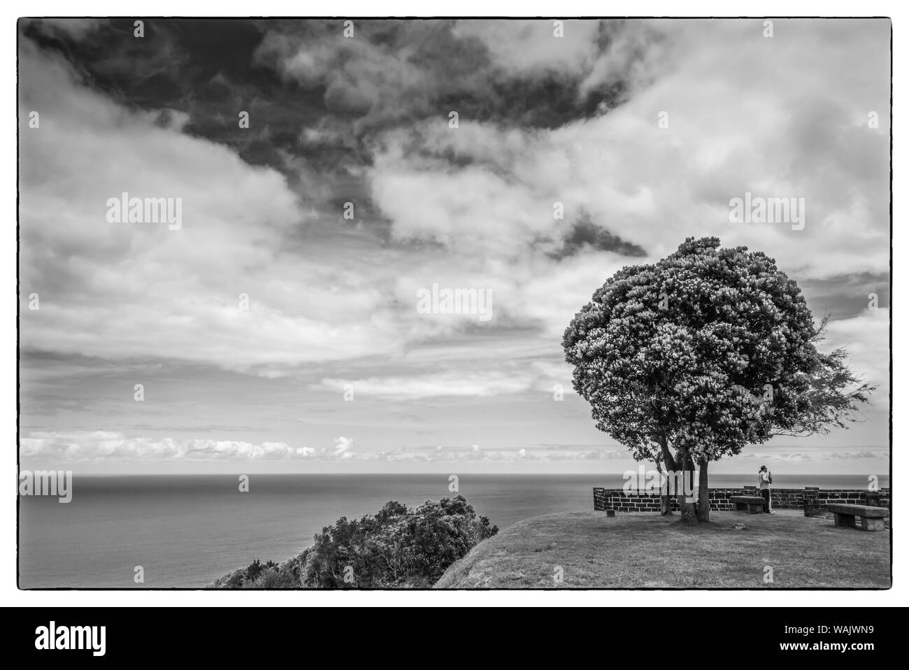 Portugal, Azoren, Sao Miguel Island, Baia de Santa Iria. Miradouro de Santa Iria, erhöhte Küstenansicht Stockfoto