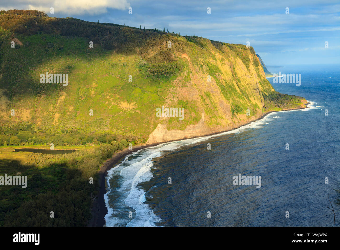 Waipio Lookout, Big Island, Hawaii Stockfoto
