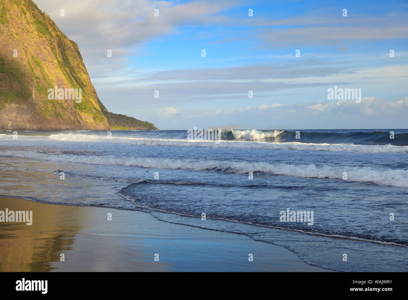 Waipio Beach, Big Island, Hawaii Stockfoto