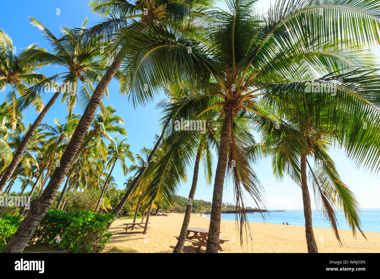 Hulopo'e Beach Park, der als einer der schönsten Strände der Welt, Lanai Insel, Hawaii, USA Stockfoto